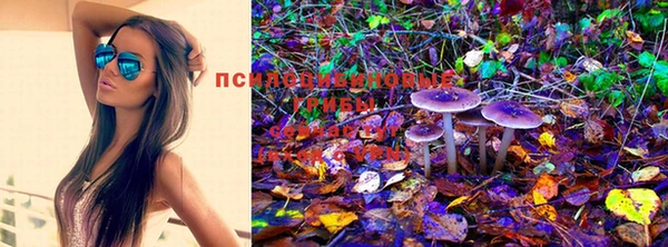 бошки Медногорск