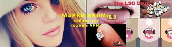 индика Михайлов