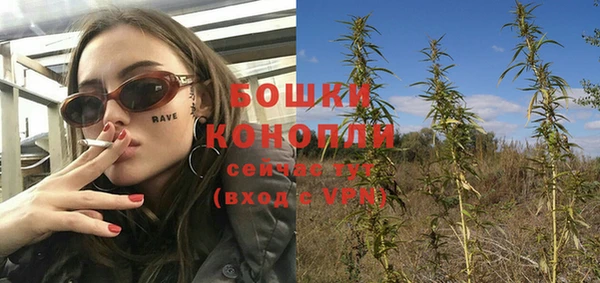 бошки Медногорск