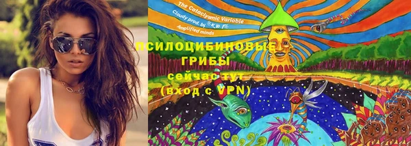 соль ск Сосновка