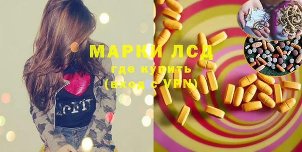 индика Михайлов