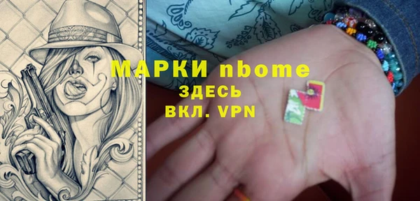 индика Михайлов