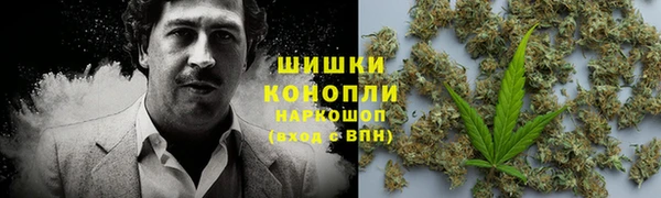 бошки Медногорск