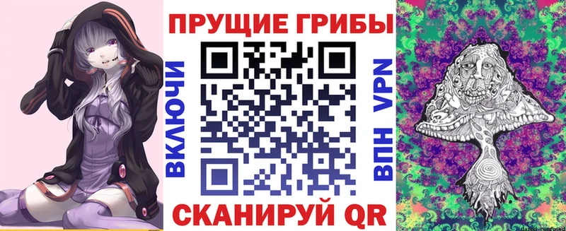 Галлюциногенные грибы Psilocybe  Волгоград 